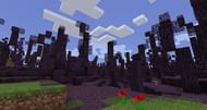 New Minecraft RLCraft biome (Image via androidgram)